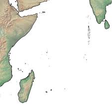 Image result for Tricalysia schliebenii