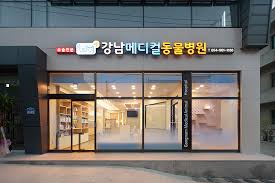 강남메디컬동물병원