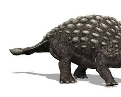 アンキロサウルスの画像