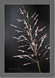 (1) menunaikan tanggungjawab dakwah iaitu menyeru kepada perkara ma'aruf dan mencegah kemungkaran adalah suatu (2) barangsiapa yang melihat suatu kemungkaran berlaku di depan matanya, dan dia berkuasa mencegahnya sama ada dengan tangannya atau dengan. Mencegah Kemungkaran Adalah Fardhu Abdullah Mutazahhid