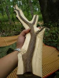 Agarwood or oodh (or just agar) is a dark resinous. Artificial Inoculation Gaharu æ²‰é¦™ Agarwood