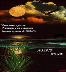 * mesaje de noapte buna 😇 scumpul meu îngeraș! Citate Si Mesaje Iuliapad Noapte Blog Posts Inspriation Poster