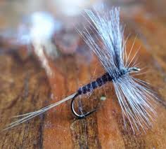 Excellent quality, ample space, friendly atmosphere and. Isonychia Dry Fly Tied By J Stockard Pro Tyer Matt Beers Catskill Flyfisher Jstockard Jsflyfishing Jstockar Fly Tying Fly Fishing Accessories Fly Fishing