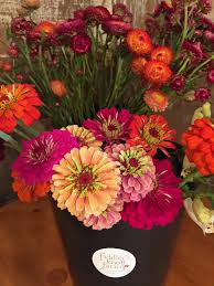Maybe you would like to learn more about one of these? Wedding Flowers Events Fiddler S Knoll Farm