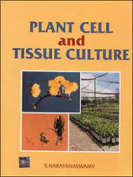 Book title plant cell and tissue culture. Plant Cell And Tissue Culture By S Narayanaswamy Paperback First Edition 1992 From A Z Books