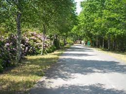 Consultez la liste complète des 6 campings à proximité et filtrez en fonction de nombreux critères ou de la disponibilité. Camping Les Fougeres Lacanau Bewertungen Fotos Frankreich Tripadvisor