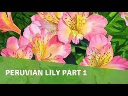 Watercolor Painting Demo Alstroemeria Flower Part 1 Youtube Painting Demo Watercolor Paintings Watercolor Painting Techniques