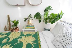 The effect of indoor foliage plants on health and discomfort. Sleeping With Plants