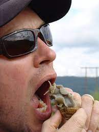 If your order is placed after midnight monday, it will ship the following tuesday. The Live Escargot Challenge Photo