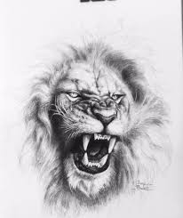 Pin De Jane Tattoo Phuket Em Art Tatuagens Cabeca De Leao Tatuagens De Leao Desenho De Tatuagem De Leao