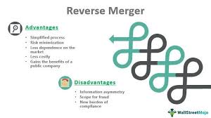 Money market funds advantages and disadvantages wibestbroker com. Of Ah0q8alvnkm