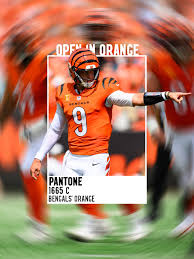 Cincinnati Bengals (@bengals) • Instagram photos and videos
