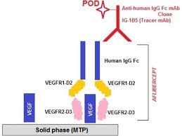 Eent drugs, miscellaneous chemical name: Human Aflibercept Elisa Kit Abin3172721