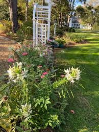 Fall In North Carolina Finegardening