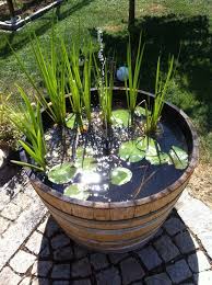 Pin On Whiskey Barrel Water Gardens