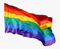 All png & cliparts images on nicepng are best quality. Rainbow Flag Png Rainbow Flag Transparent Background Png Download Transparent Png Image Pngitem