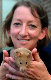 Pictures: Three-legged hamster Biscuit