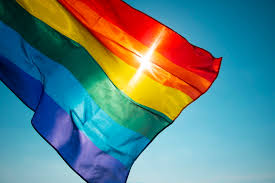 Sexual orientation conversion therapy refers to counseling and psychotherapy to attempt to eliminate individuals' sexual desires for members of their own sex. Catholic Church Told To Shut Gay Conversion Therapy Groups