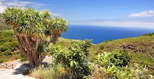 Erlebe das wahre andalusien und entdecke die schӧnsten strände südspaniens an der costa de la luz La Palma Urlaub Auf Den Kanaren