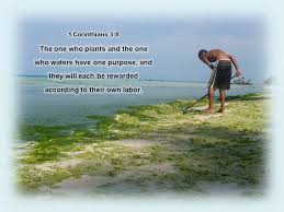 Image result for 1 Corinthians   3: