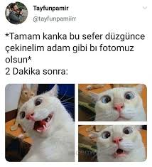yawhehe adli kullanicinin a 2 panosundaki pin 2020 komik seyler komik komik resimler