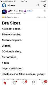 Shaming big boobs much? : rAreTheStraightsOK