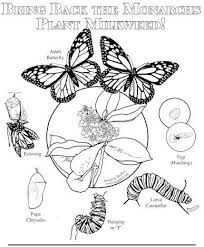 These spring coloring pages are sure to get the kids in the mood for warmer weather. Hi Folks Welcome To Coloring And Drawing Activities Parents Always Have Tried To Do The Be Butterfly Coloring Page Monarch Butterfly Monarch Butterflies Art