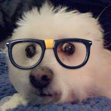 Best place to buy rv mattress with support?