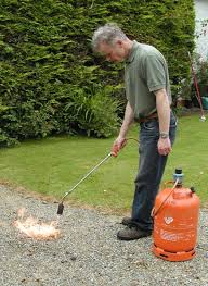 Check spelling or type a new query. How To Kill Weeds 6 Ways To Get Rid Of Them Dengarden