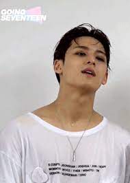 Mingyu's dinner show vlive gif (mingyu's reaction to someone suggesting he should die his hair animated gif about gif in by popping popping banana. Prompt You Are A Song Writer And Producer With Seventeen Alongside Woozi When You Begin To Get Some Unneeded Attention Mingyu Seventeen Mingyu Seventeen Kpop