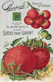 Sites Burpee Site Seeds Seed Catalogs Vintage Seed Packets