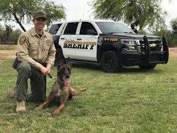 Image result for florida jarrot