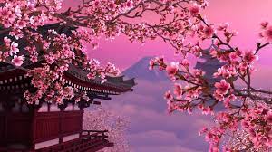 804pixels x 540pixels size : Sakura Live Wallpaper Youtube