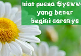 Menggabungkan dua niat, yakni niat qadha dan niat puasa enam hari syawal, maka pahala qadha dan pahala sunah enam hari syawal tetap dapat. Niat Puasa Enam Wanita Salihah