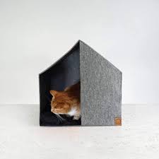 Epingle Sur Cats Dogs