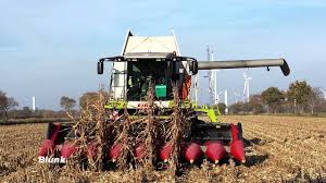 Welche erntetechnik ist die beste? Maisernte Flussige Ablaufe Blunk Das Unternehmen