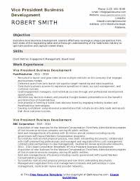 An executive ceo and president cover letter sample for your review. Vice President Business Development Resume Samples Qwikresume