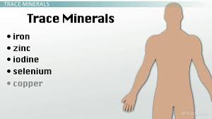 Minerals Functions Food Sources