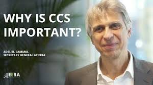 Professor Adel El Gammal