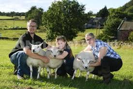 39530562-Daniel Thackray at his farm in Fewston. DanielÃ¢â‚¬â„¢s farm is a  mix of livestock that all has a Belgian influence. Daniel , Rosie and Emma  Thackray, with their Beltex sheep. 4th August