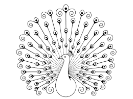 Mewarnai gambar hewan peliharaan mewarnai gambar 29 09 2019 pola gambar binatang untuk mewarnai pola gambar hewan untuk mewarnai cara membuat boneka dari kain flanel berupa rubah ini. 5 Contoh Sketsa Gambar Burung Merak Dan Cara Menggambarnya