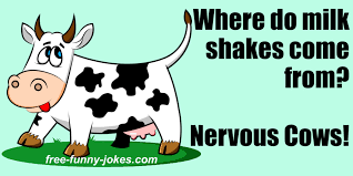 The easiest time to add insult to 58. Cow Jokes