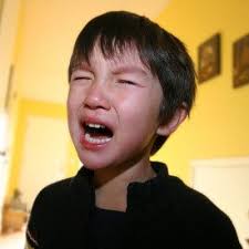 No More Meltdowns: Positive Strategies for Dealing with and Preventing  Out-Of-Control Behavior