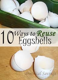 Eggshells actually belong in the compost. 10 Ways To Reuse Eggshells Around Your House A Non Toxic List