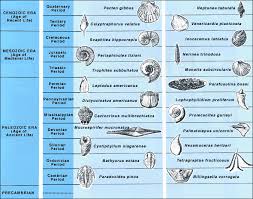 Geologic Time Index Fossils