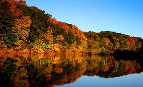 14200 s us highway 441. Find Parks Activites Events Camping Lodges Cabins In The Iowa S County Parks