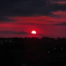 Sie finden rezensionen und details . Sol Rojo Retazos De Mi Vida