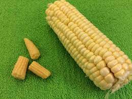 What Is Baby Corn
