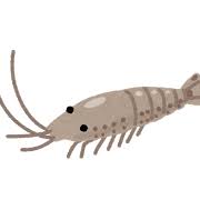 甲殻類 | かわいいフリー素材集 いらすとや