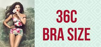 It's important that you know your measurements before you shop for a new bra. What Bra Size Is Equivalent To A 36c Hno At
